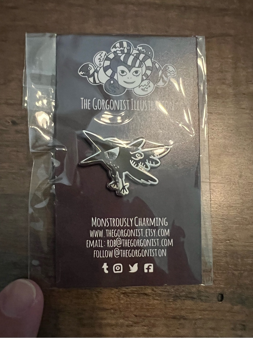 Brand New Black Enamel Pin - Stylized Raven Design